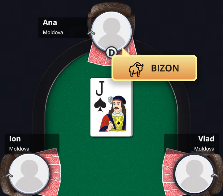 Bizon